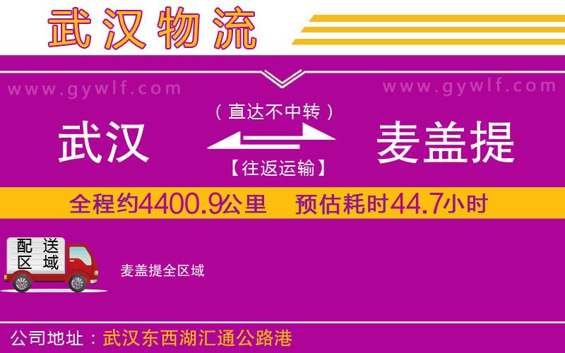 武漢到麥蓋提貨運公司