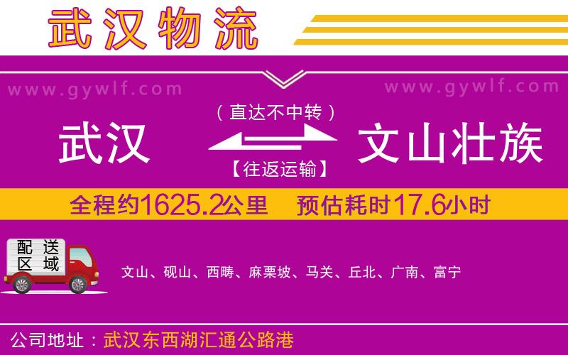 武漢到文山壯族苗族自治州物流專(zhuān)線