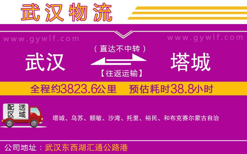 武漢到塔城物流公司