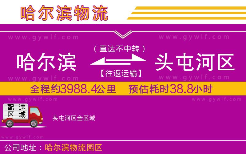 哈爾濱到頭屯河區(qū)物流公司