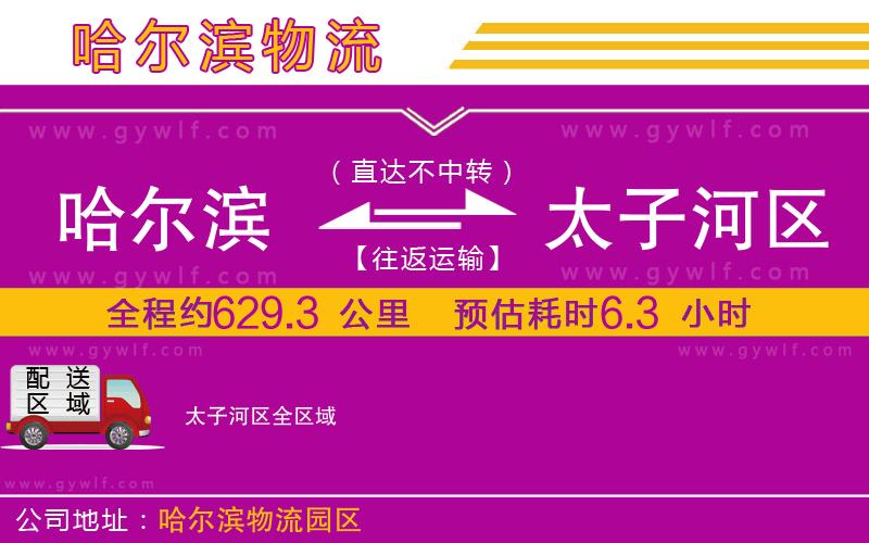 哈爾濱到太子河區(qū)物流公司