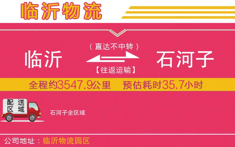 臨沂到石河子物流公司