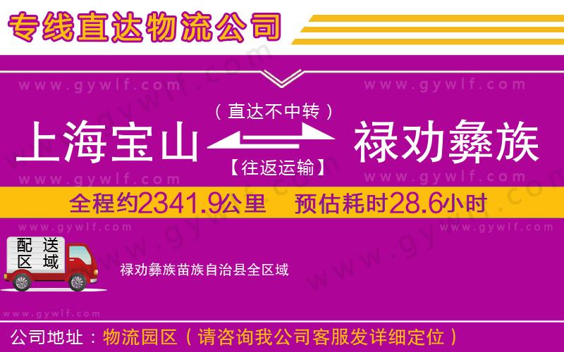 上海寶山區(qū)到祿勸彝族苗族自治縣物流公司