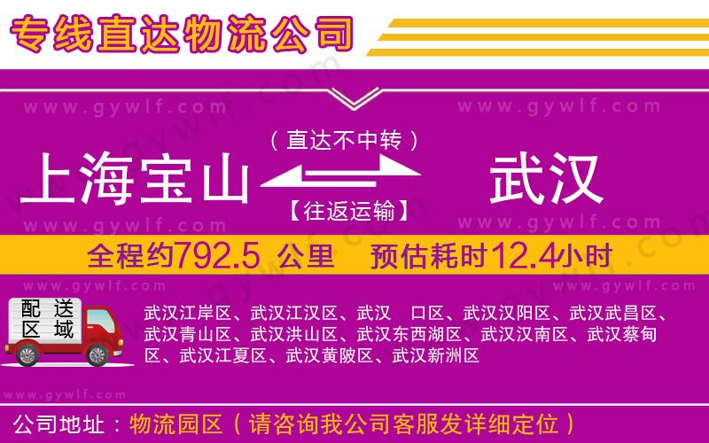 上海寶山區(qū)到武漢物流公司