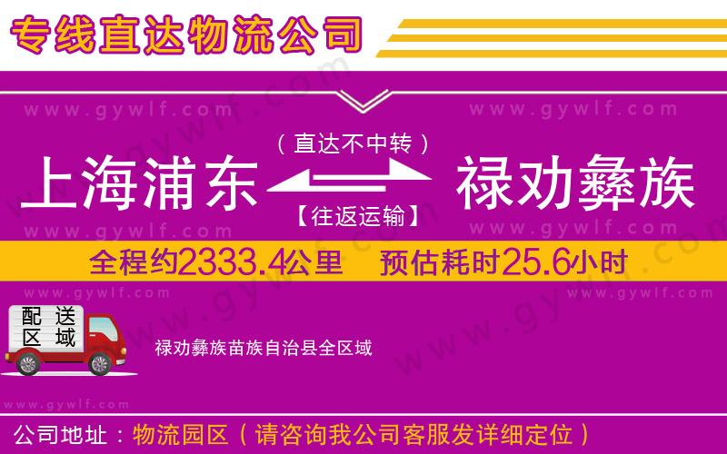上海浦東區(qū)到祿勸彝族苗族自治縣物流公司