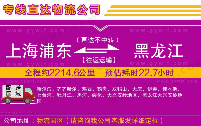 上海浦東區(qū)到黑龍江物流公司