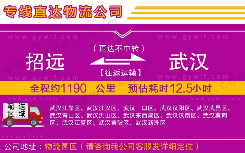 招遠(yuǎn)到武漢物流公司