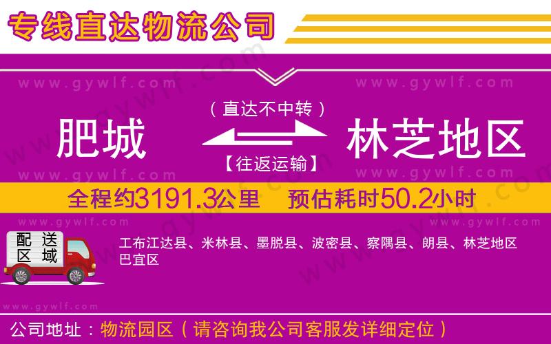 肥城到林芝地區(qū)物流公司