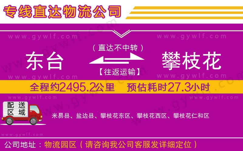 東臺到攀枝花物流公司