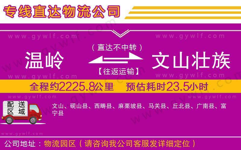 溫嶺到文山壯族苗族自治州物流公司