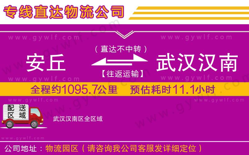 安丘到武漢漢南區(qū)物流公司