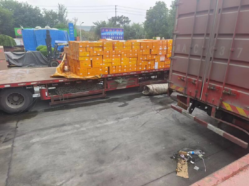 呼和浩特到富蘊貨運公司