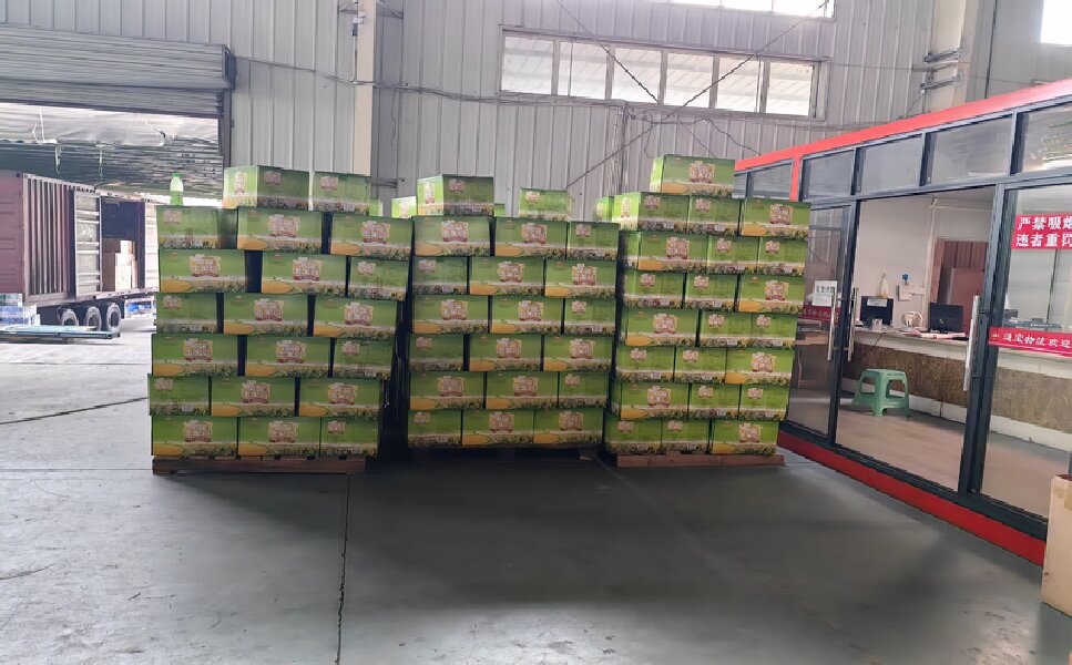 臨沂到新平彝族傣族自治貨運公司